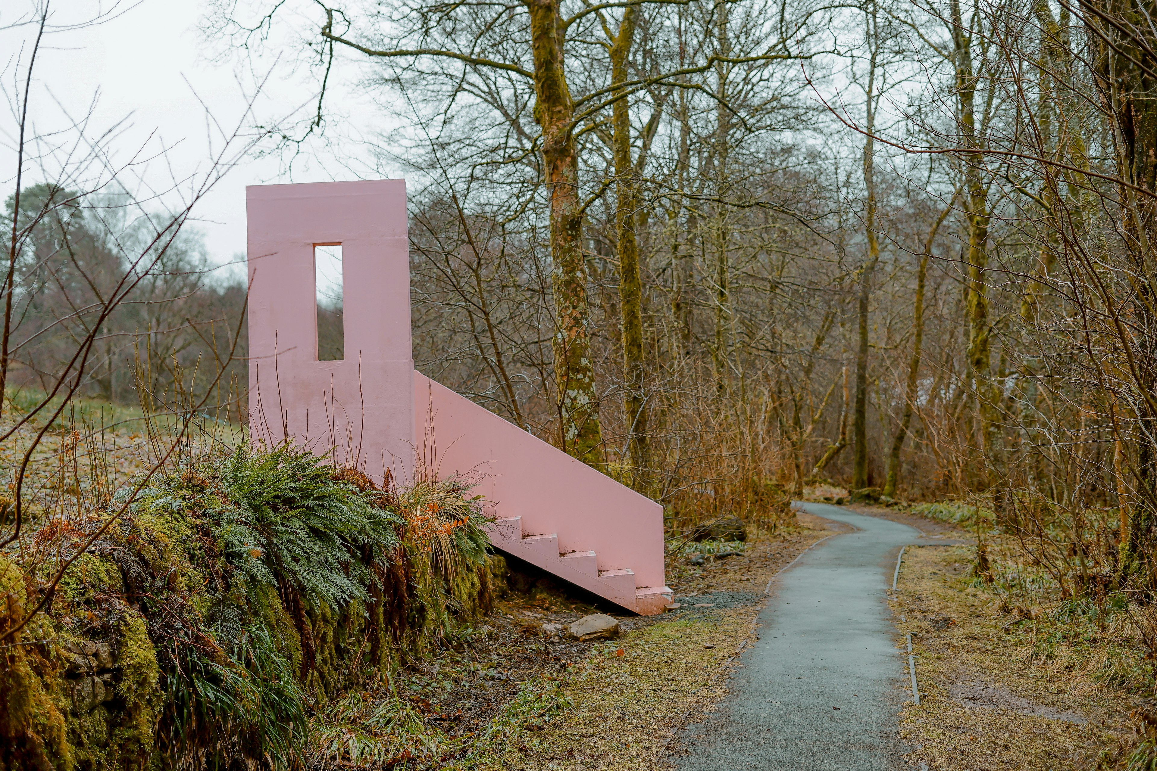 pink painted stairs in forest